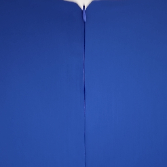 Royal Blue Knee-Length Sheath Dress - Picture 8 of 9